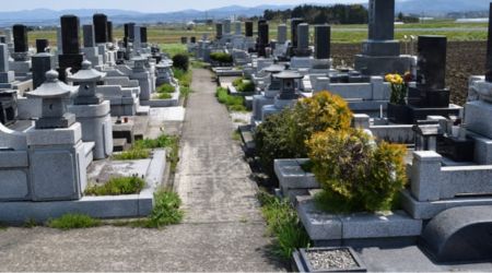 墓地の写真
