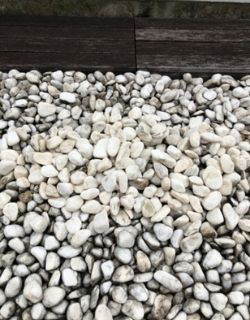 砂利の写真