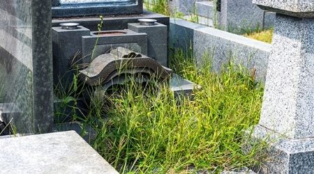 お墓の雑草