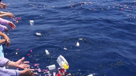 海洋散骨の写真