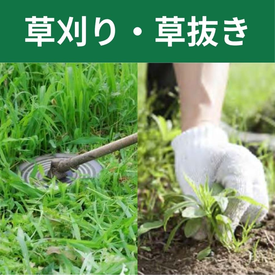 草刈り草抜き