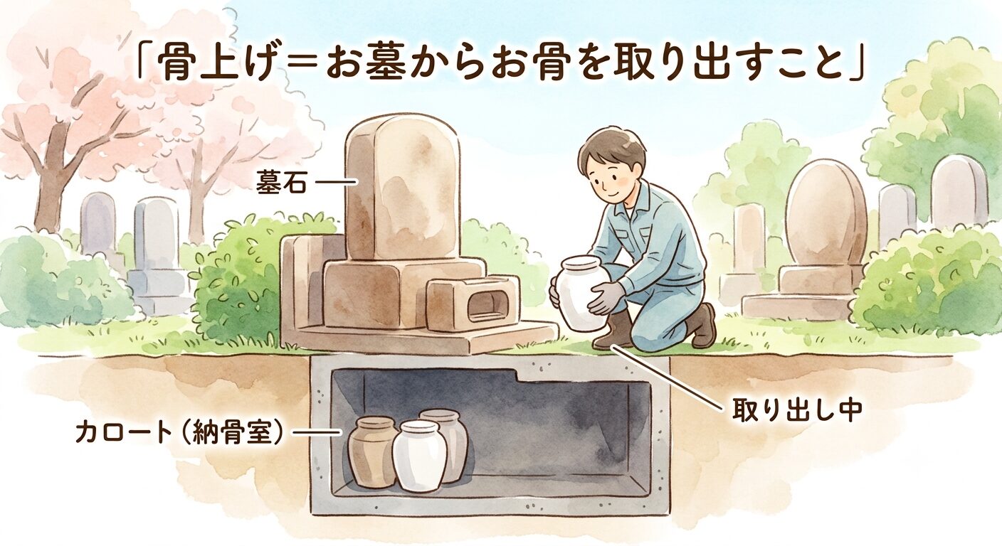 墓じまいの骨上げはお墓の下のカロートに納められた骨壺を取り出す作業だと伝えるイラスト