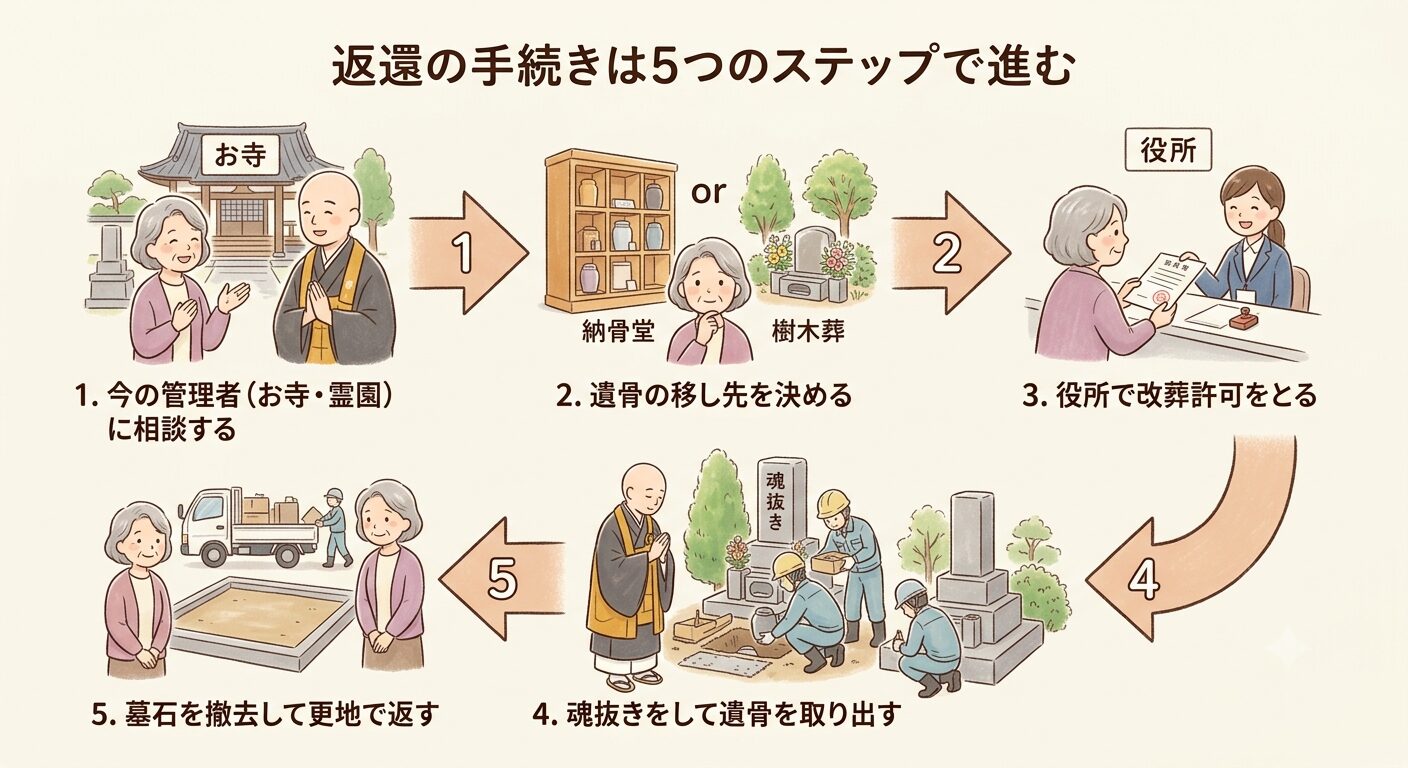 お墓の返還は相談から改葬許可・魂抜き・撤去更地返還までの5つのステップで進むことを示すイラスト